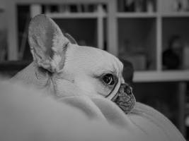 Ahmadou NJOYA - Doumah